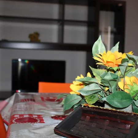Adriana Apartament *